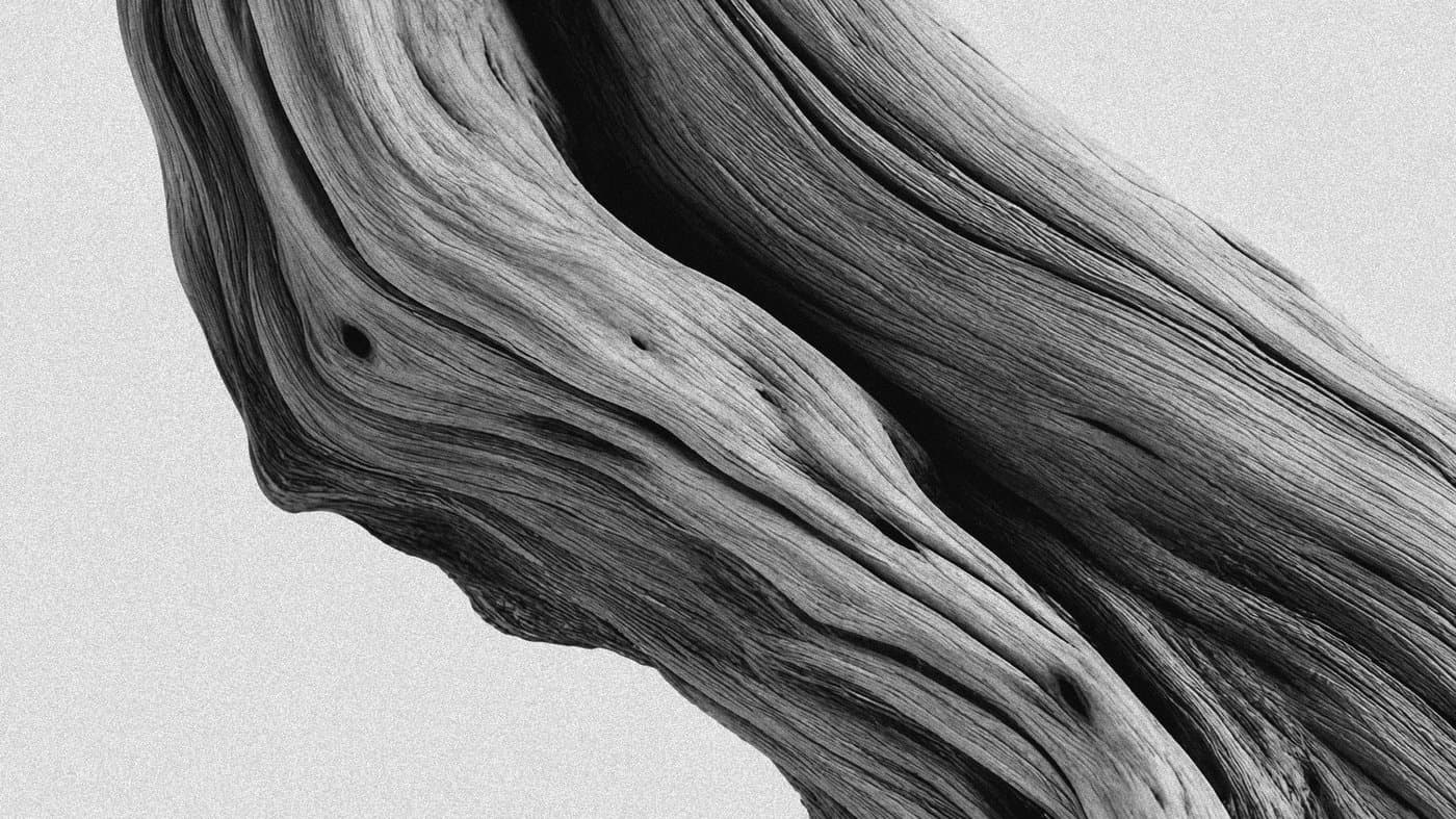 Natural texture — AdAntar identity